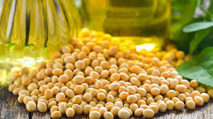 The Global Guide to Purchasing Soybeans and Soybean Oil in Bulk: A Comprehensive Resource for Savvy Buyers